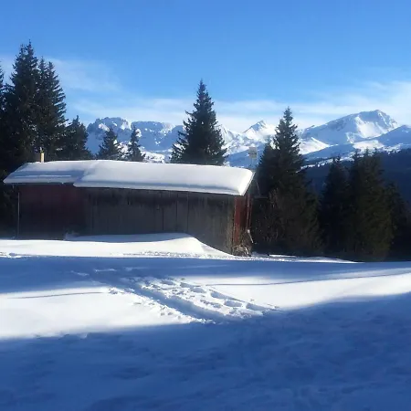 Bellevue アパート