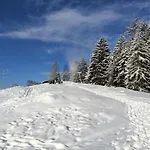 Апартаменты Bellevue *